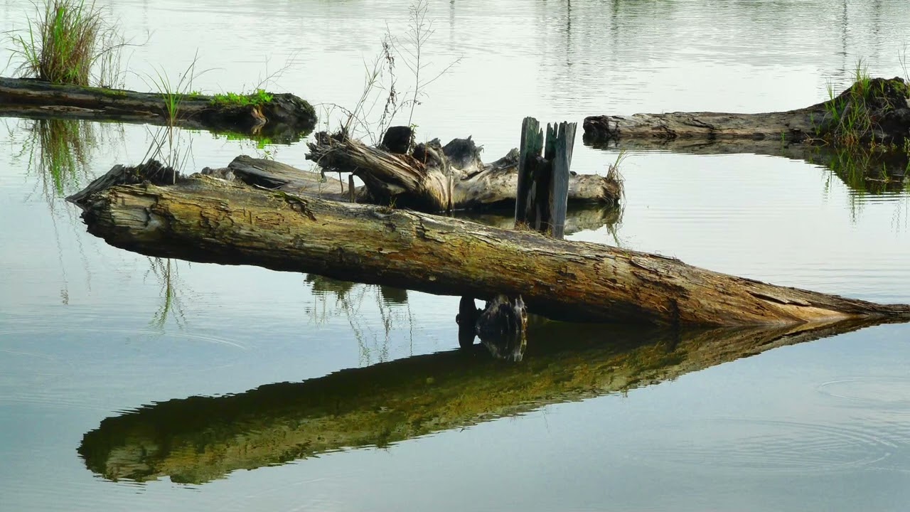 放鬆身心 輕音樂 RELAX MUSIC