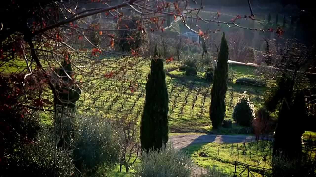 C'era una volta Montalcino