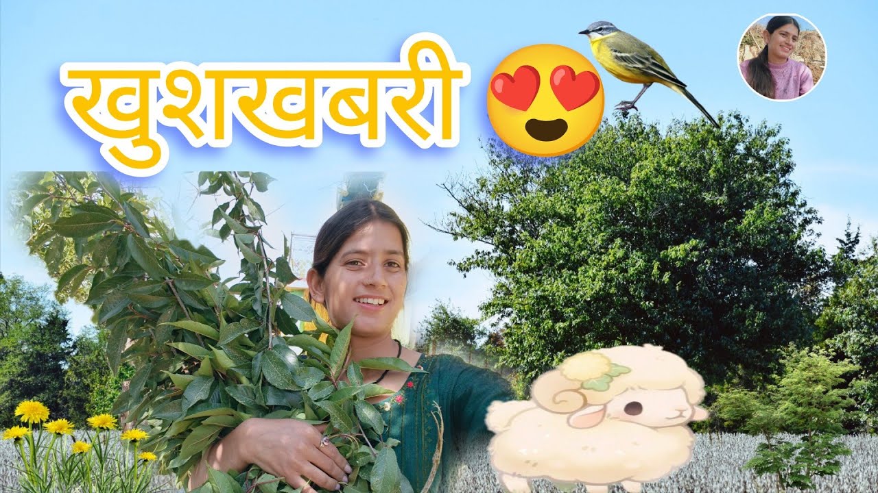 नया मेहमान आया घर में 😊♥️