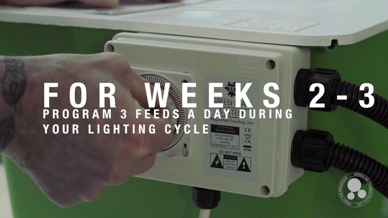 Green Man How To: Setting Up Your Brain Controller