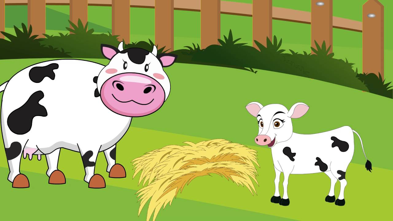 i Versi degli Animali per bambini !