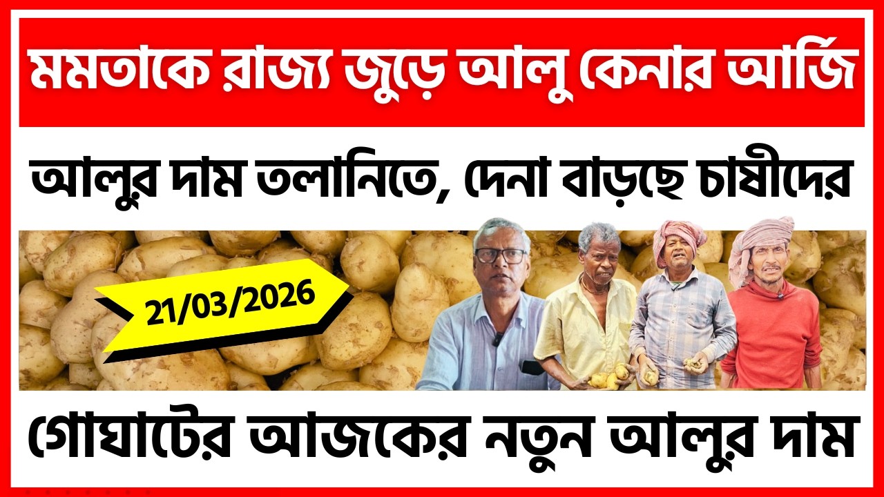 21/03/2026 : গোঘাটের আজকের আলুর দাম | আলুর দামের পতন, হতাশায় কৃষকেরা - India Potato News
