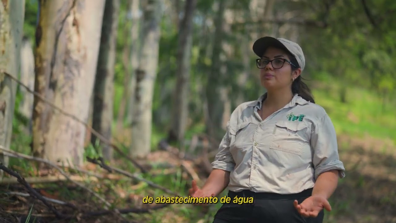 Sustentabilidade na prática | Plantio de 200 mudas na Fazenda Villa Realli com o Instituto Ype.