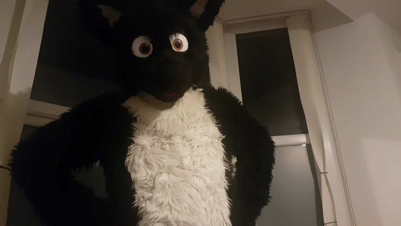 Wolf caught filming his footpaws ;)