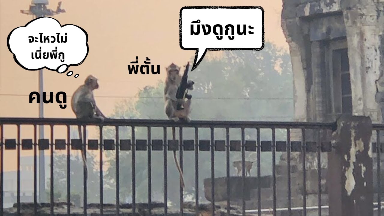 กูเล่นลิงเป็นครับ ไอ้__ | Monkey King | 5678