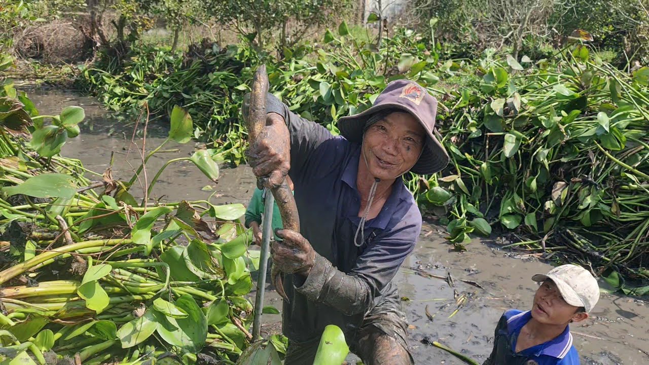 Phụ Chú Út Tát Mương Vườn Bắt Được Lươn Già Và Cá Canh Chua Ghém Cực Ngon.Góc Làng Quê#746