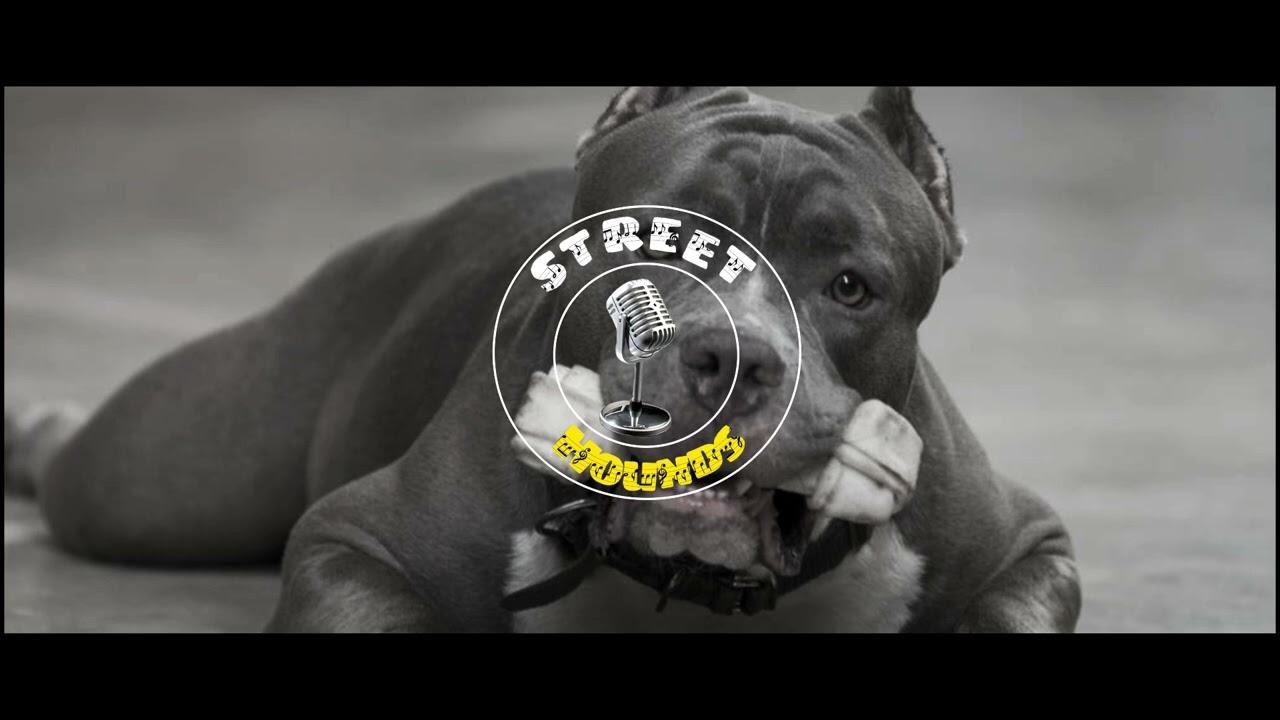 Beat Instrumental Base de Electro Rap - 