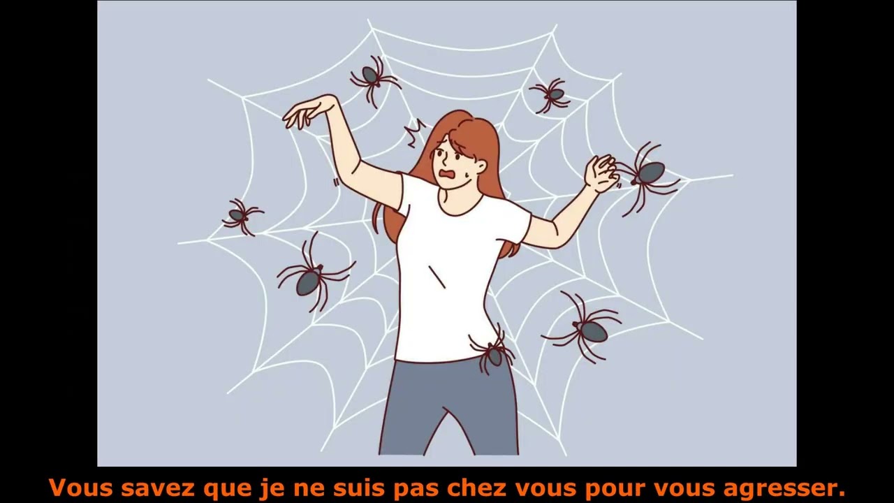 24 Chanson Spidi