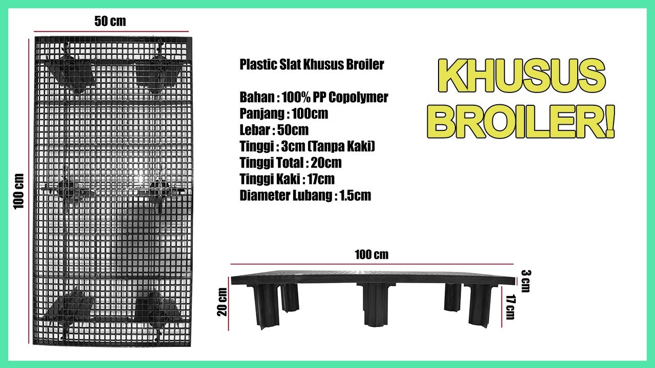 Review Plastic Slat untuk Lantai Kandang Broiler!