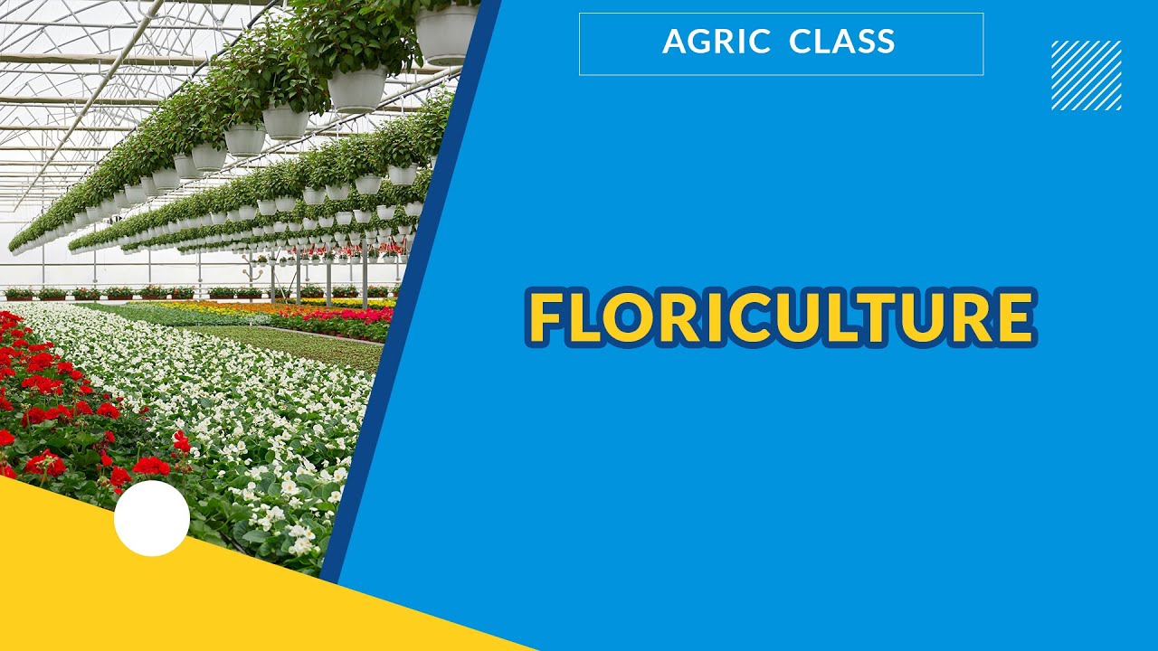 FLORICULTURE  | AGRICULTURAL SCIENCE | EXAMGUIDE