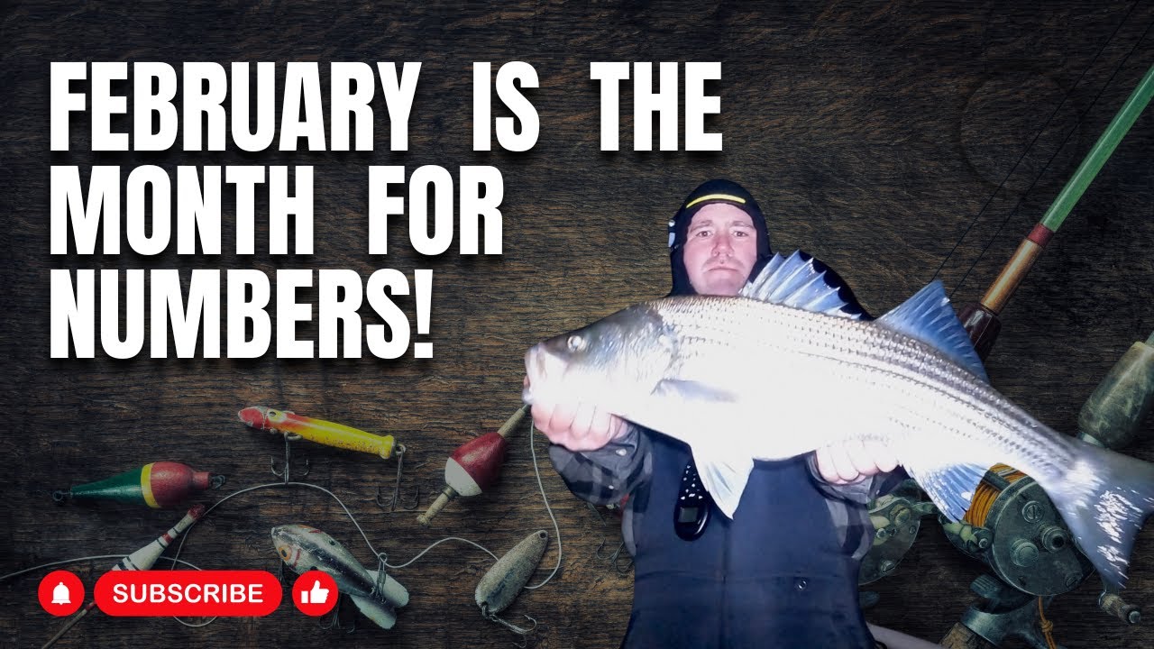 February striper fishing after dark on Lake Lanier with 