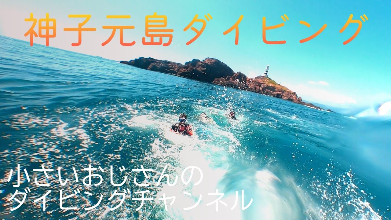 [伊豆ダイビング]神子元島ダイビング#ダイビング 