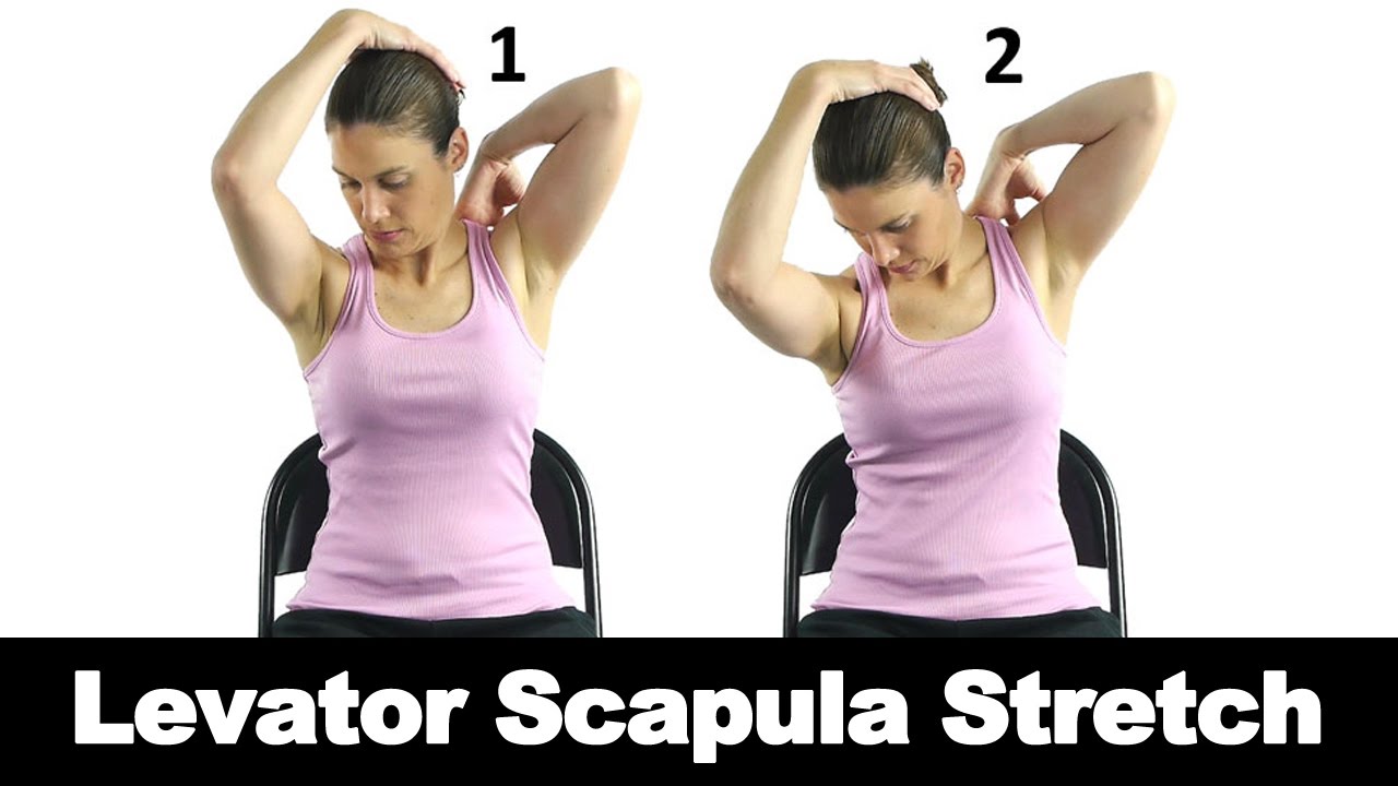 Levator Scapula Stretch - Ask Doctor Jo