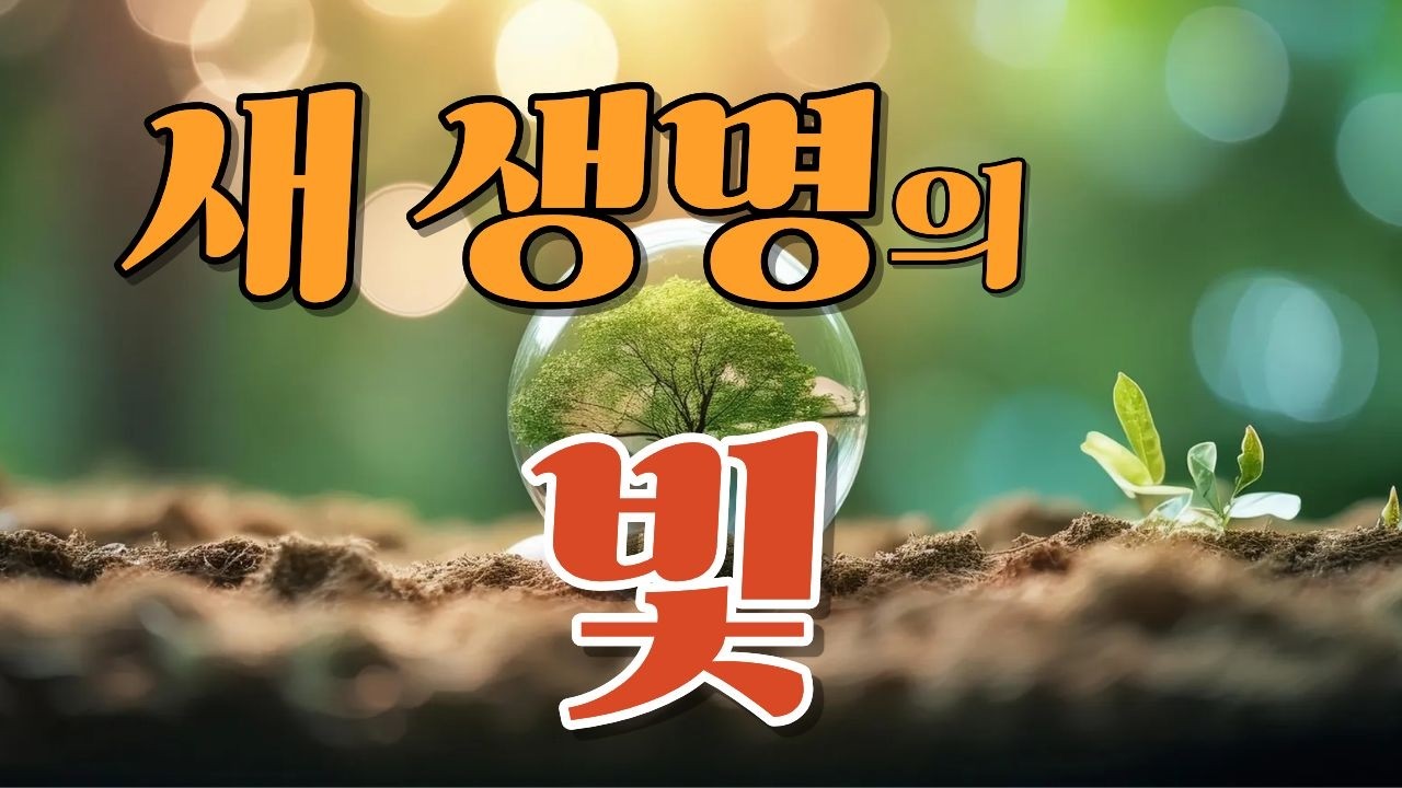 새 생명의 빛