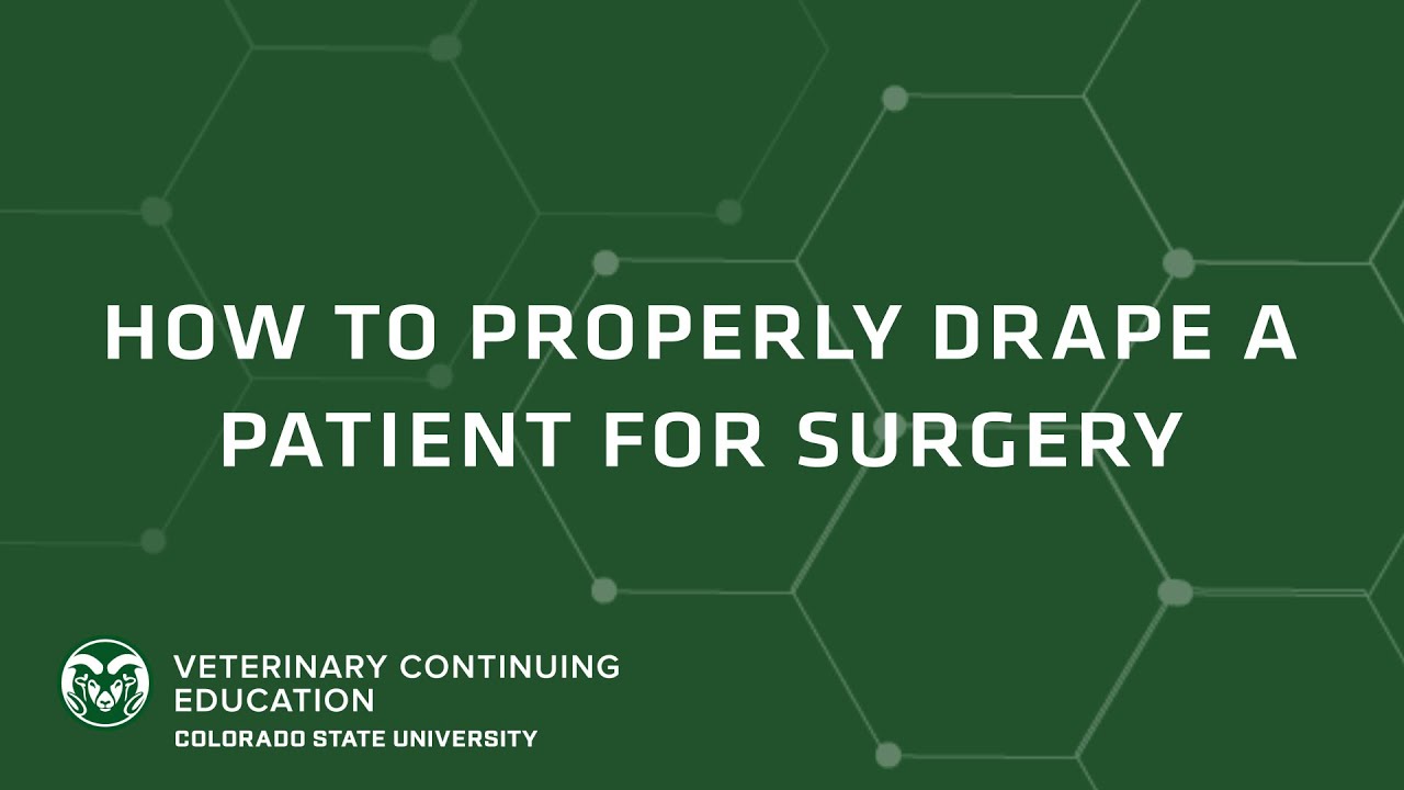 How To Properly Drape a Patient for Surgery (Brought to you by CSU VetCE)