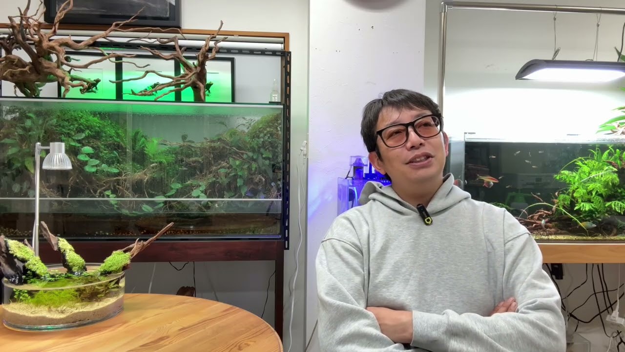 今まで飼育してきた熱帯魚で、最高に魅力があって楽しかった熱帯魚をお話しします【木下裕人のアクアリウムラジオ #92】