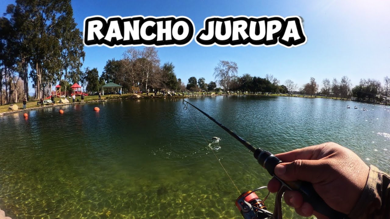 Birthday Trout Fishing @ Rancho on Stock Day – Truck Came Late, Windy & Short Session! 🎣 #trucha
