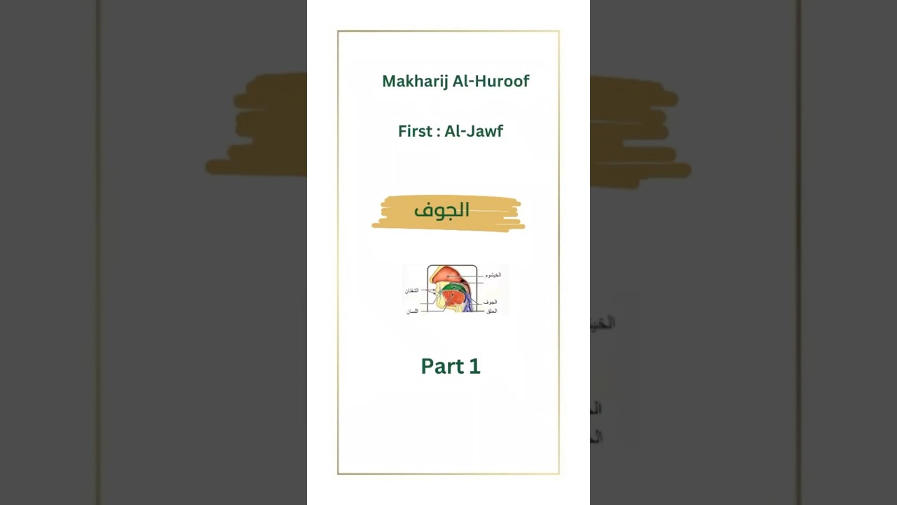 ‼️Makharij Al-Huroof :Al-Jawf ,Part 1 📌