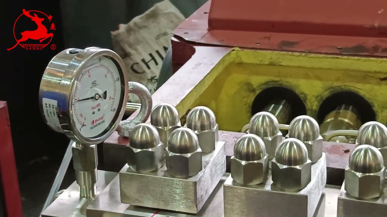 Two Stage Mechanical Homogenizer