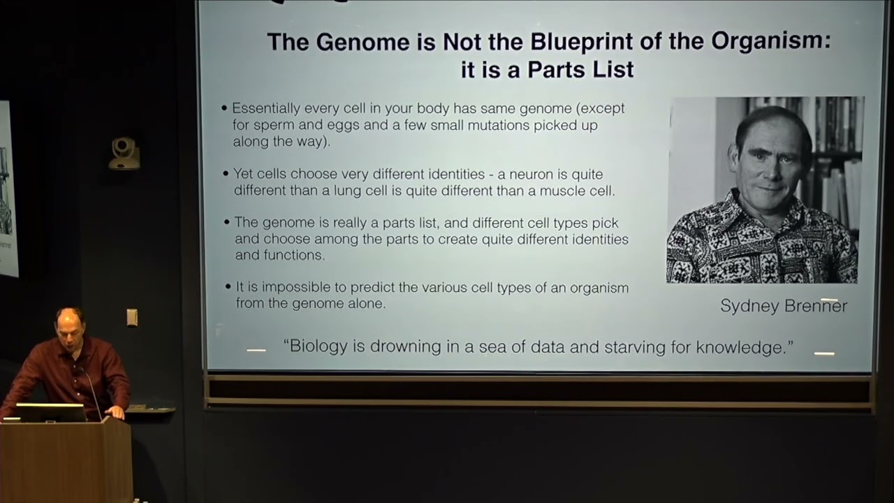 Stephen Quake: A Cellular Mystery: How Do Many Cell Types Arise From a Single Genome?