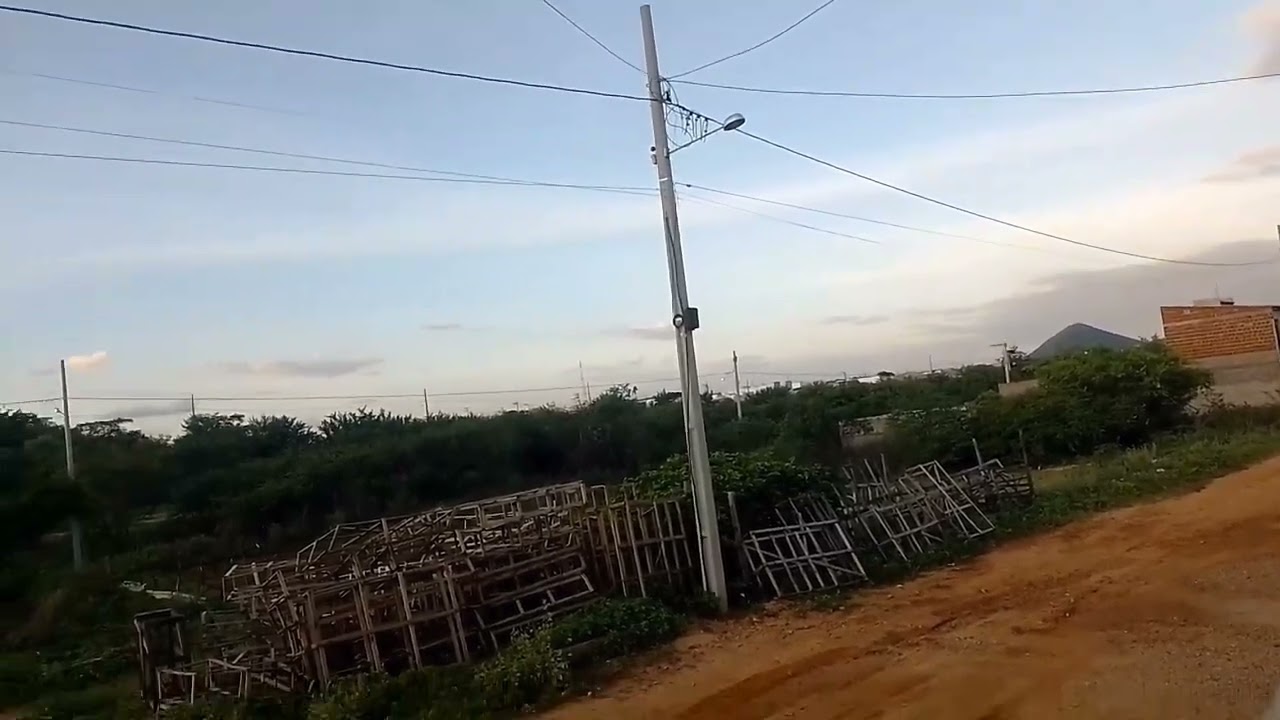 11 de março de 2026