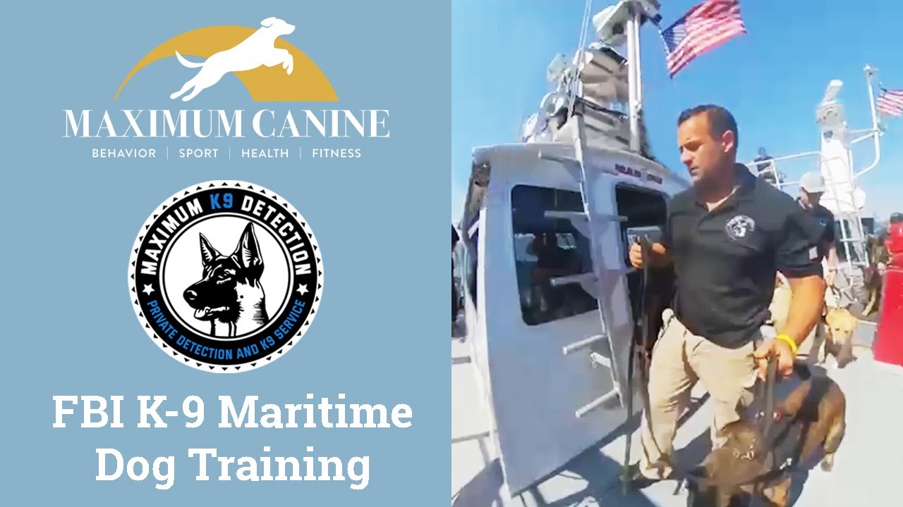 FBI K-9 Maritime Dog Training