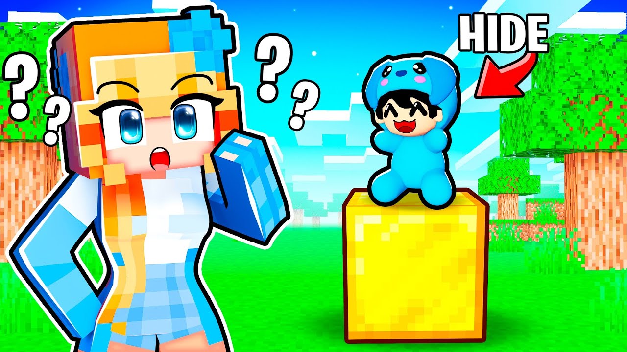 Omz Toys Hide and Seek In Minecraft!