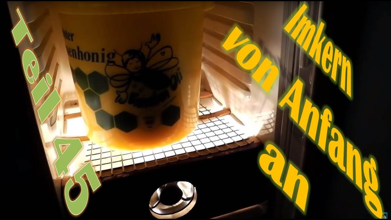 Imkern von Anfang an - Teil 45 - Bau eines Honig Auftauschrank / Brutschrank