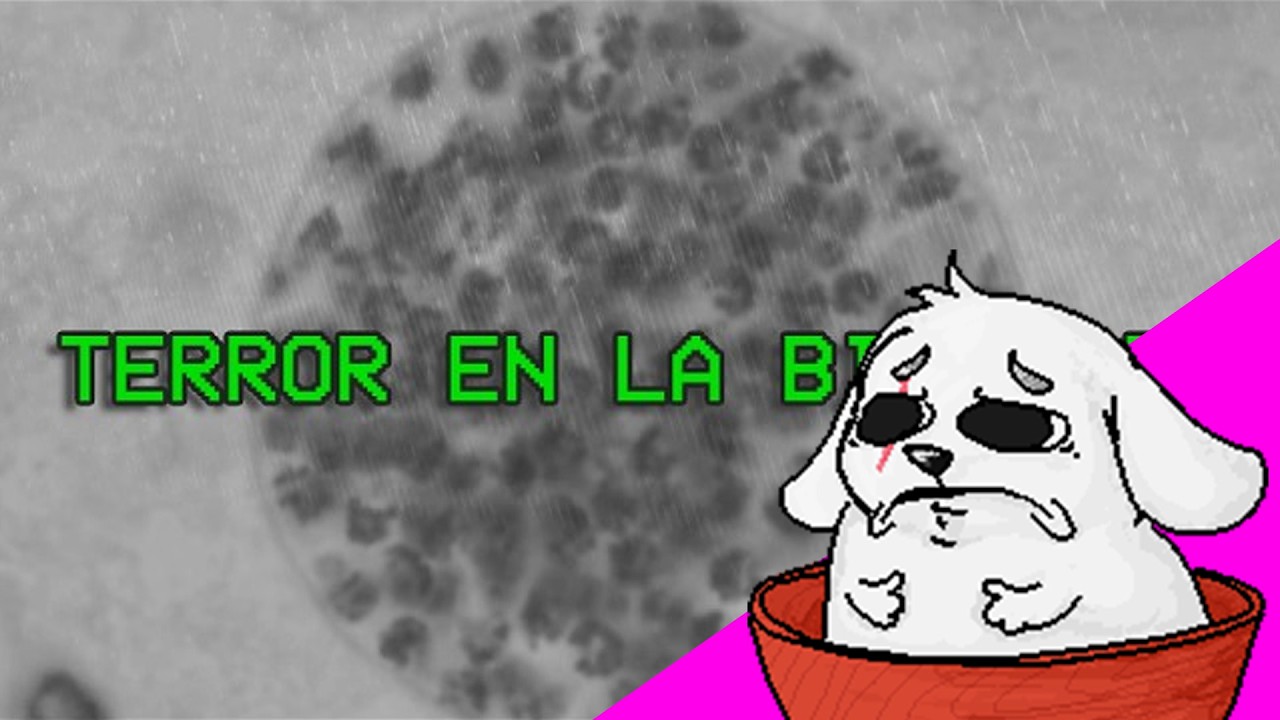 Huntleo reacciona a 