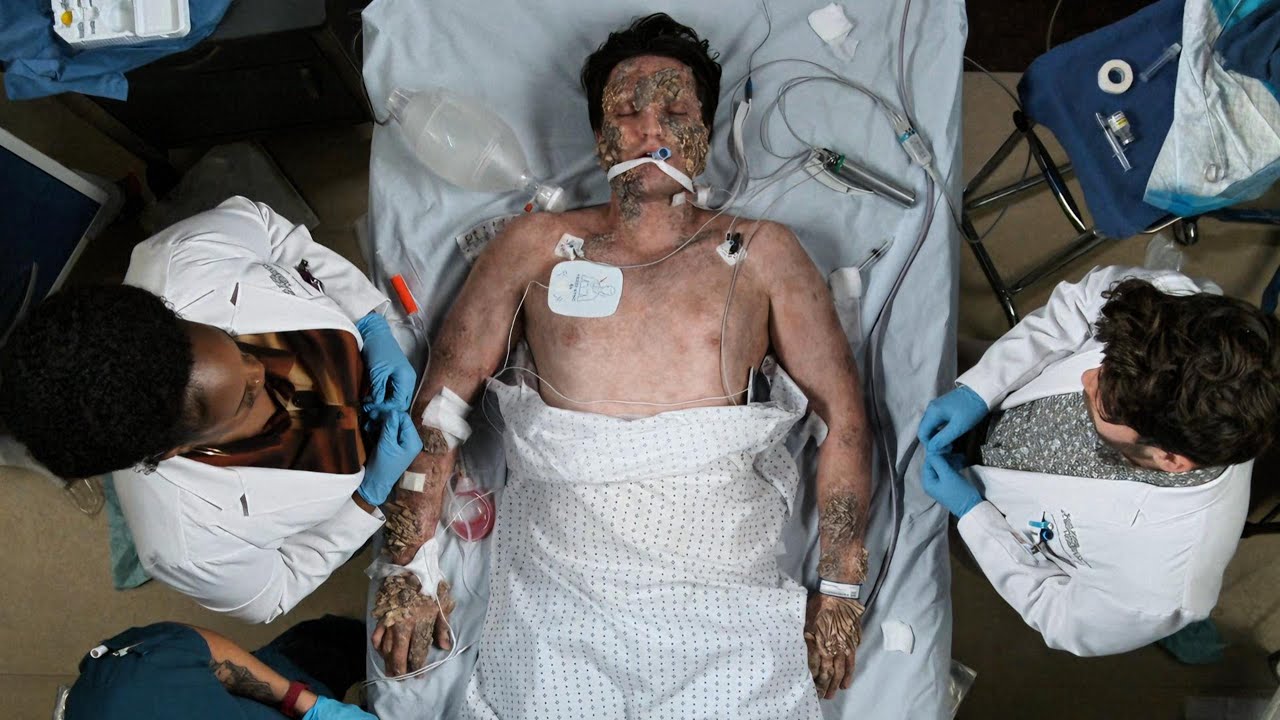 Сериал «Хороший доктор», 6 сезон, 3 серия: Болезнь коры деревьев ставит перед врачами беспрецеден...