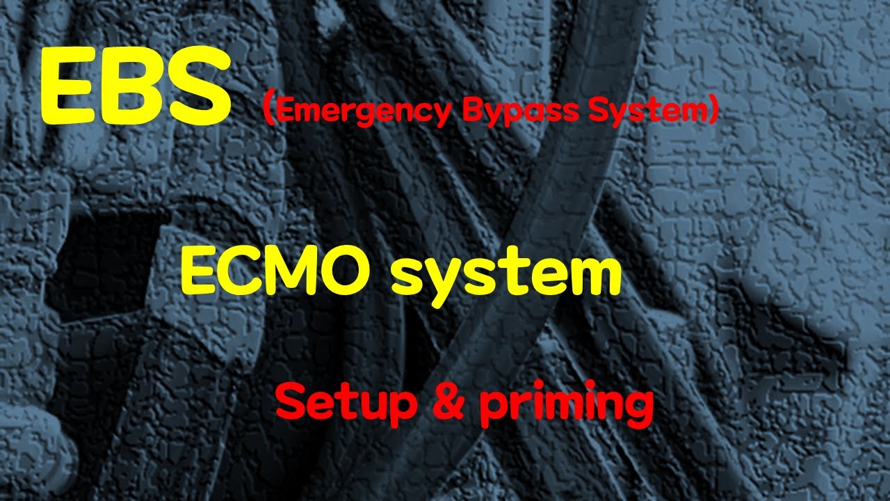 EBS(Emergency Bypass System) setup and priming
