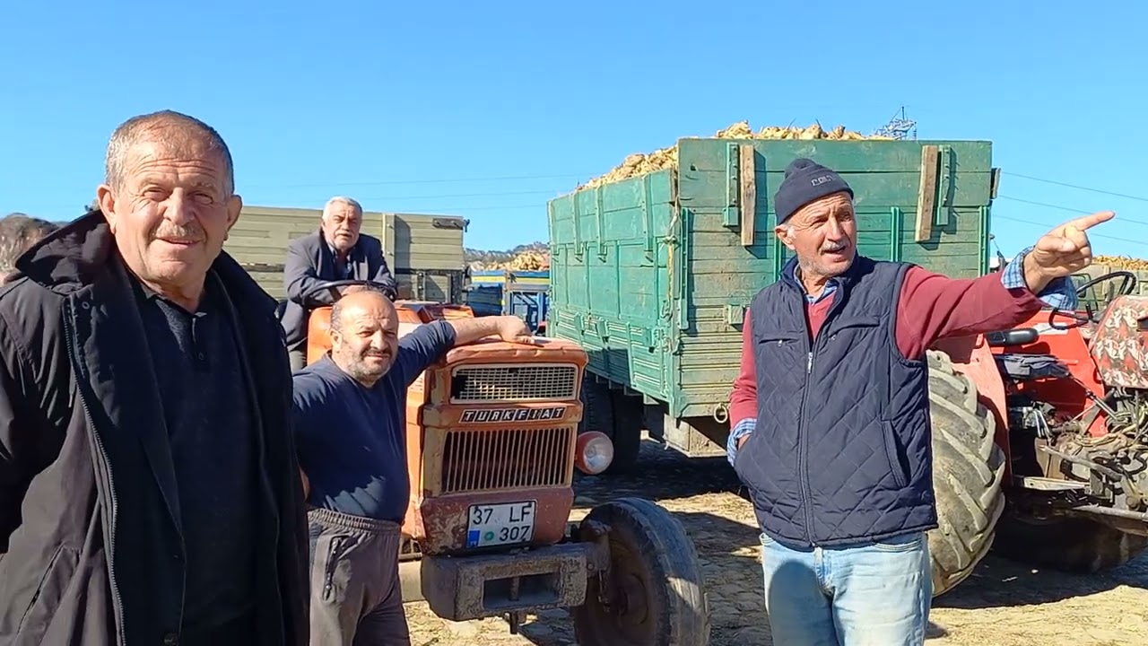 PANCAR KANTARI KASTAMONU TAŞKÖPRÜ ÇİFTÇİLİK