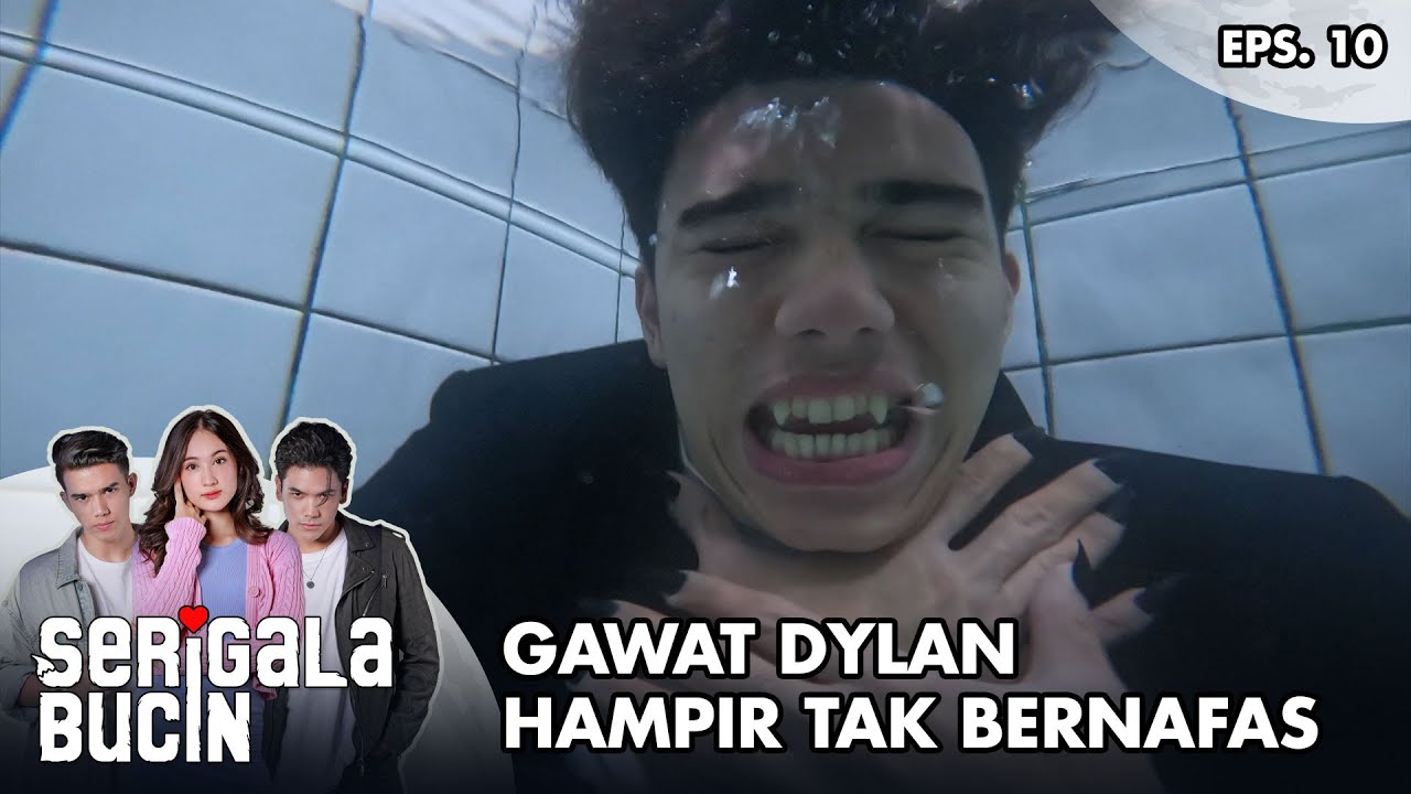 Gawat Dylan Hampir Tak Bernafas! - SERIGALA BUCIN