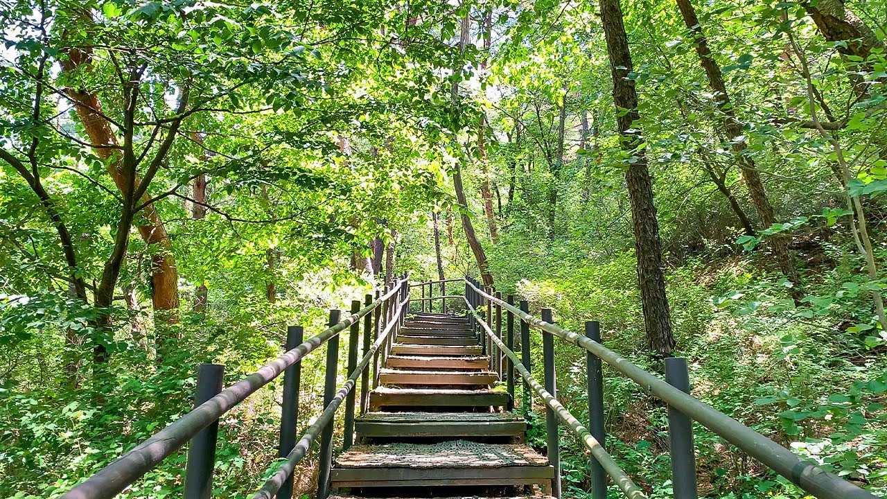 [4K] Slow walk on Bukhansan Mountain in Seoul Relaxing Sounds 서울 북한산 둘레길 구기동 코스의 느린 힐링 산책 새소리 계곡물 소리