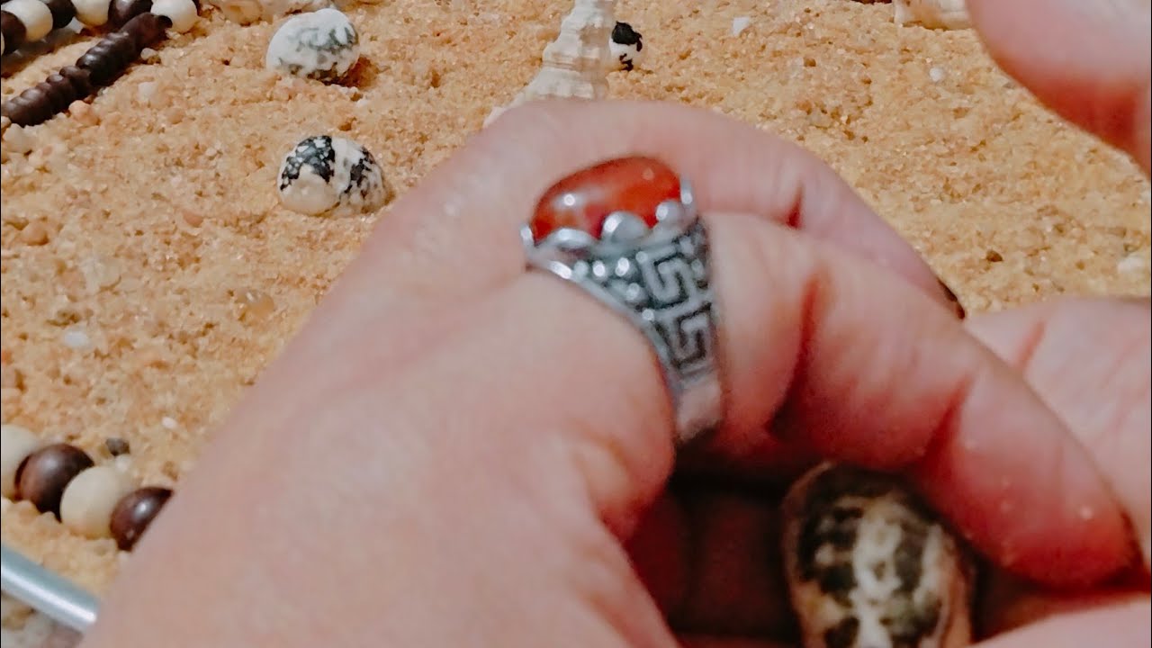 ضمره عامه👉حسب أسمك ضع النيه🧐 علي الودع وسيخبرك بكل شيء🤔علي جميع الجهات قراءه توصفك وصف بالتفصيل👌💯%صح