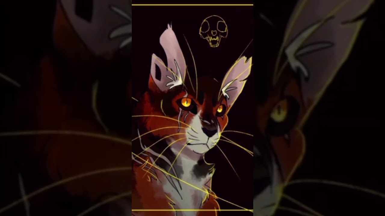 Tam przy tym przeciętnym zdjęciu jest biała burza #edit #warriorcats