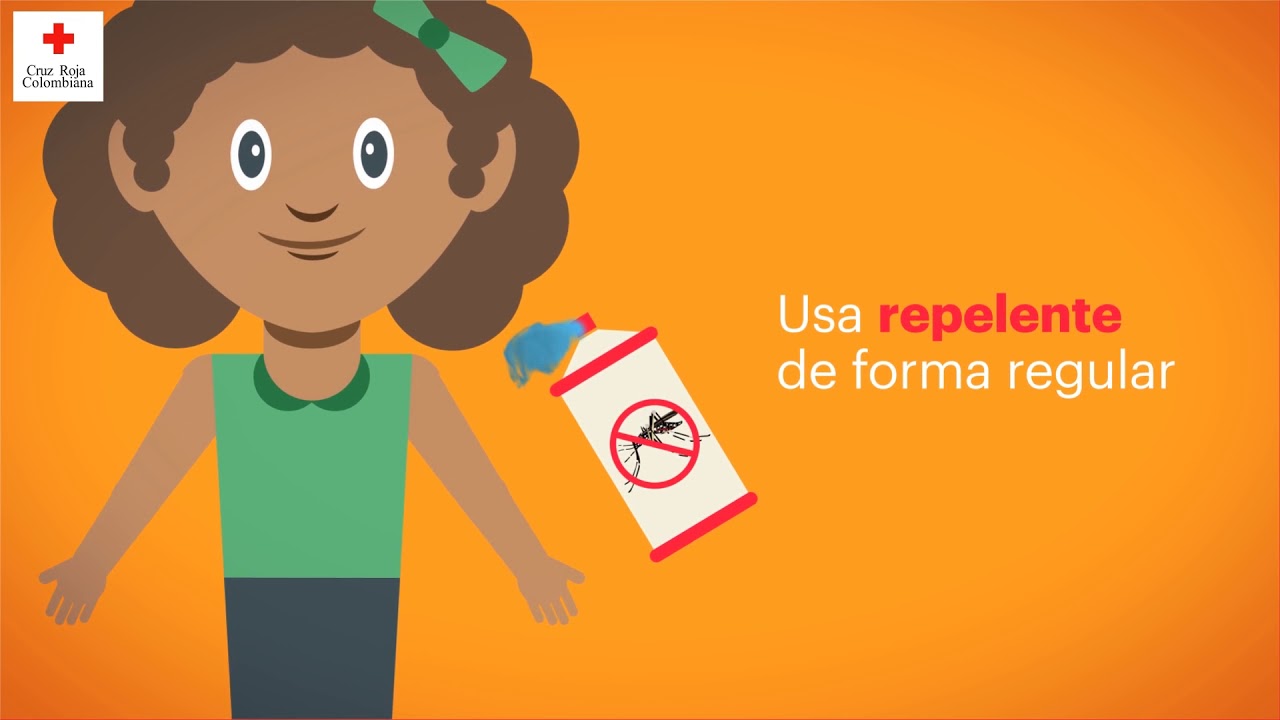 Vector Aedes Aegypti   Zika, Dengue y Chikungunya
