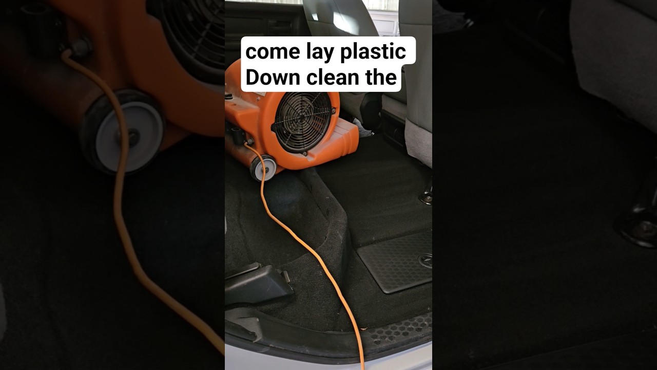 how to get that perfect detail interior dry fast #talasisdetailing
