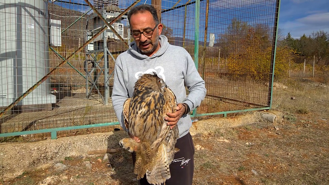 ΡΑΔΙΟ ΣΙΑΤΙΣΤΑ  95.7 fm - ΕΓΚΛΩΒΙΣΜΕΝΟΣ ΜΠΟΥΦΟΣ ΣΕ ΕΓΚΑΤΑΣΤΑΣΕΙΣ ΤΗΣ  ΔΕΗ 30/10/17
