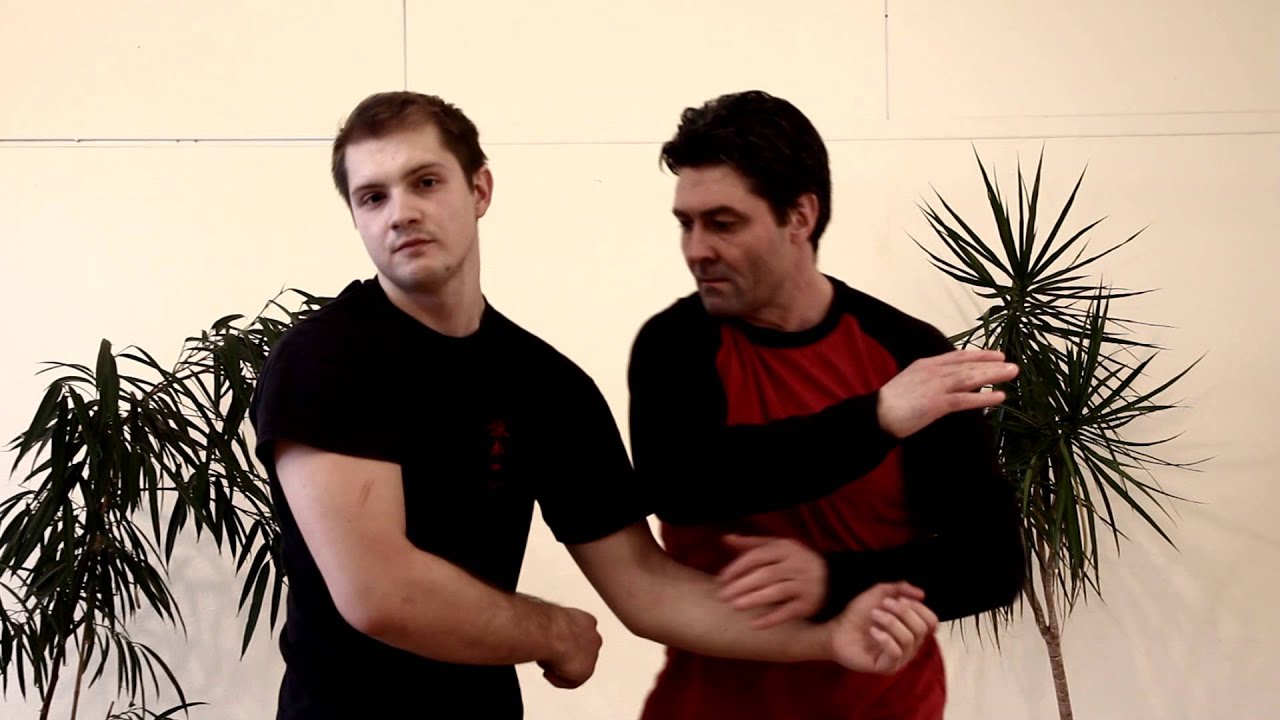 Wing Chun Kung Fu Demo Sifu Viktor Scheifele