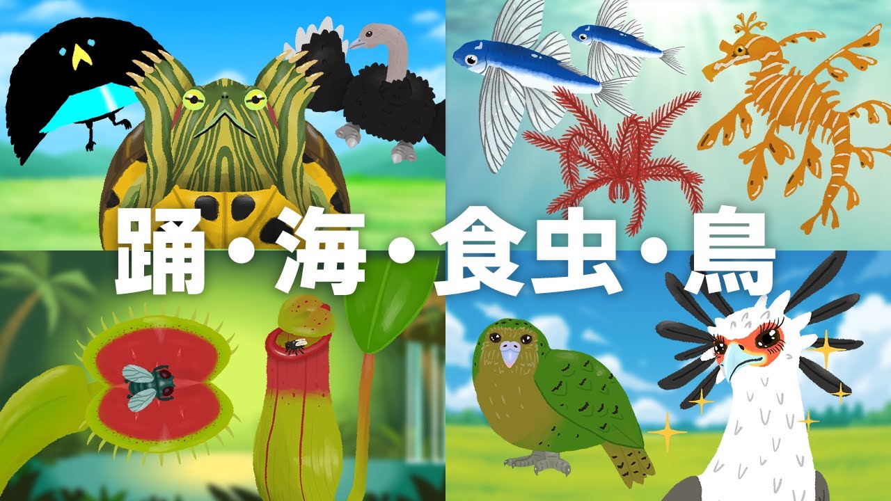 「踊・海・食虫・鳥」の歌【珍奇図鑑ver】