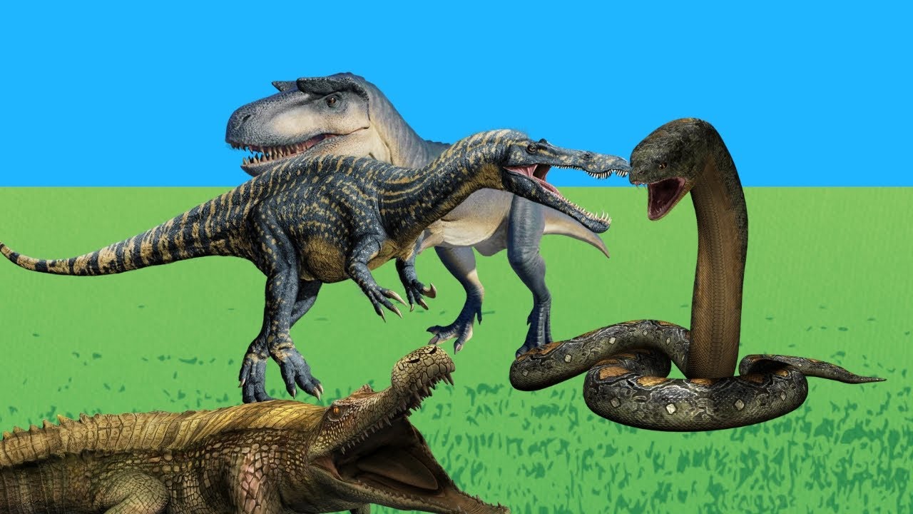 Titanoboa,albertossauro e mais ( parque dos dinossauros )