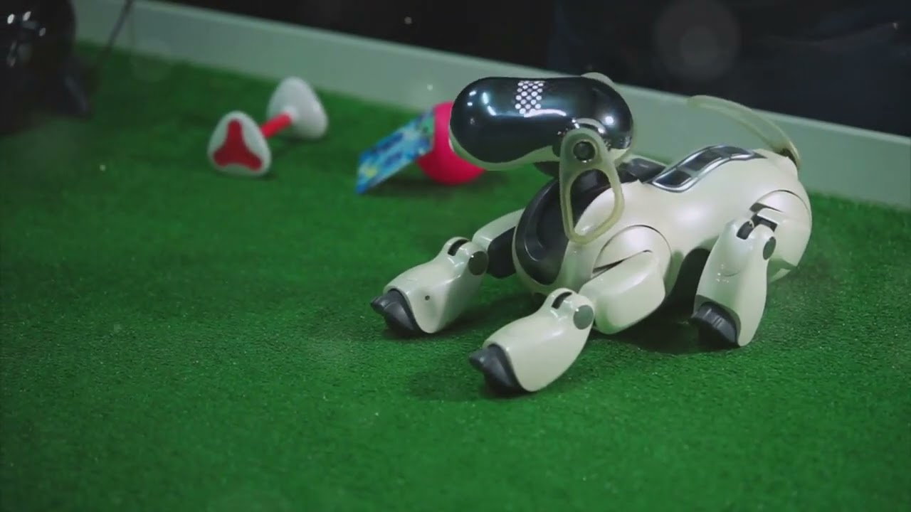How Dogs Inspire Modern Robot Development