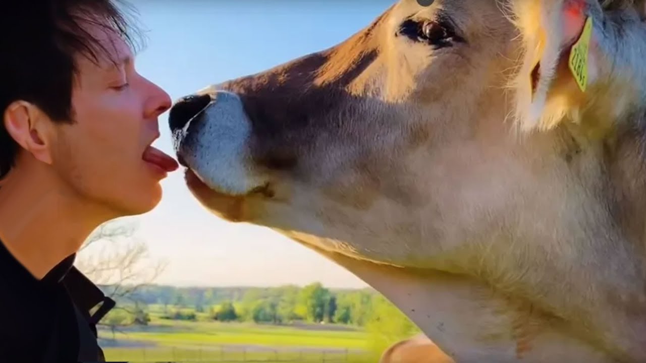r/Trueoffmychest My Boyfriend Makes Love to Cows