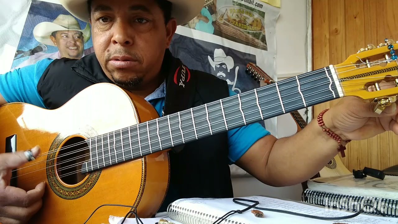 variações de pagode bruto.