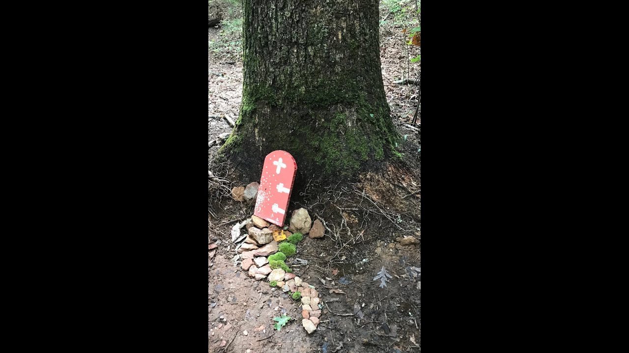 Fairystone State Park, Patrick County, Virginia #fairystones #fairystonestatepark #shorts #short