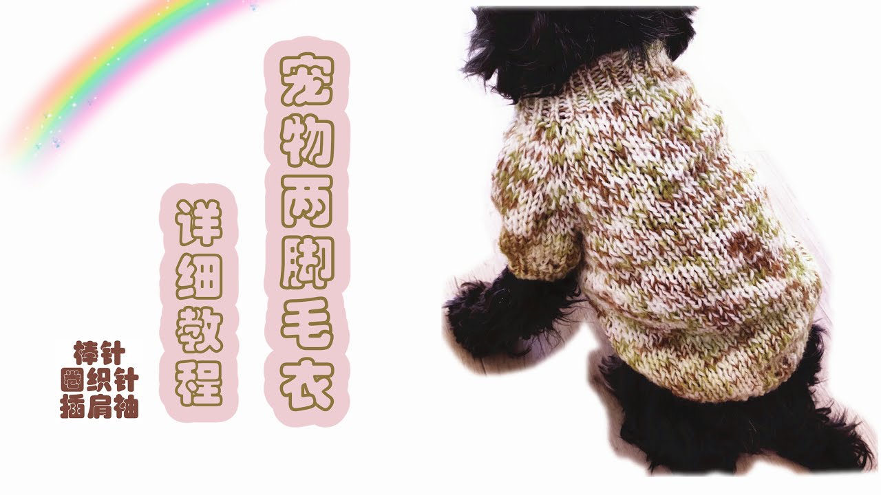 第十款  pet clothes 宠物两脚毛衣   （棒针圈织）