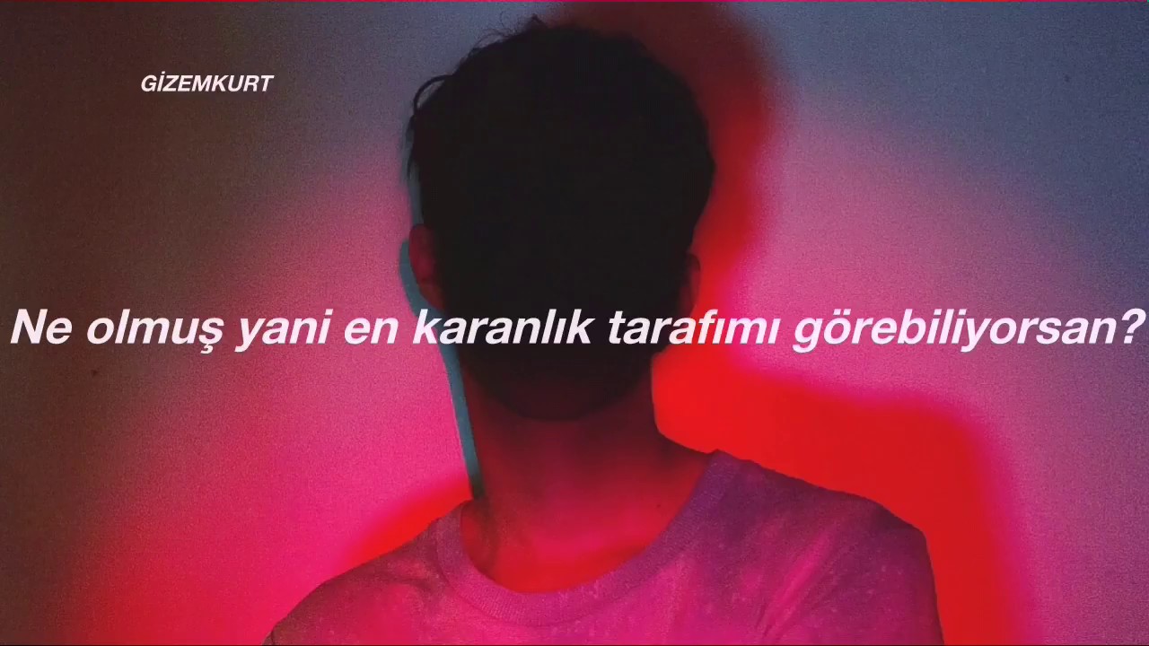 Three Days Grace - Animal I Have Become (Türkçe Çeviri)