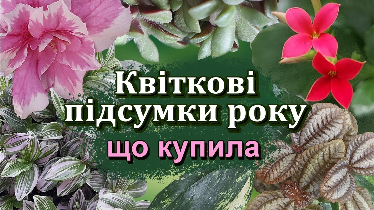 Що купила за цей рік | Новинки 2025 в моїй домашній колекції | Підсумки року