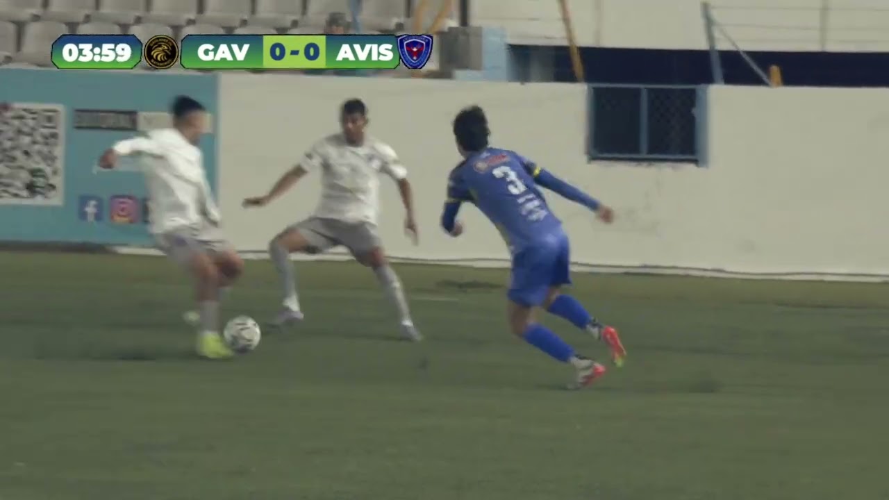 J17 | Gavilanes FC vs Avispones | Liga Premier FMF